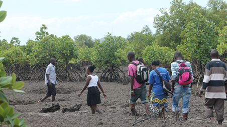 env mpact assesment 1